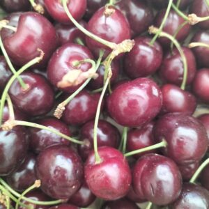 cereza ecológica nacional