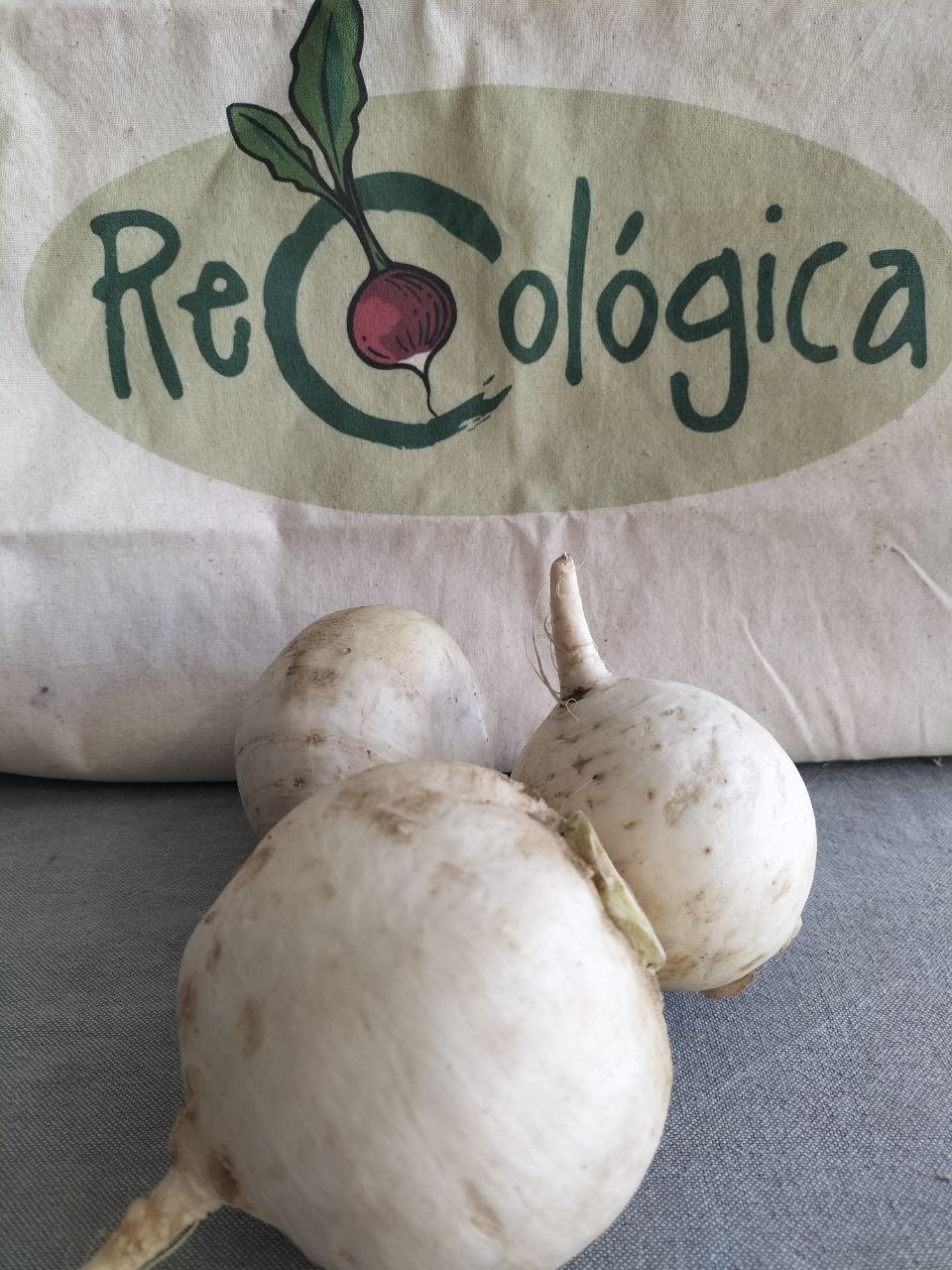 nabo blanco ecologico